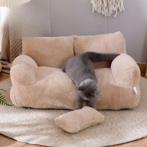 Canapé pour chat - Dites adieu aux poils partout dans la maison