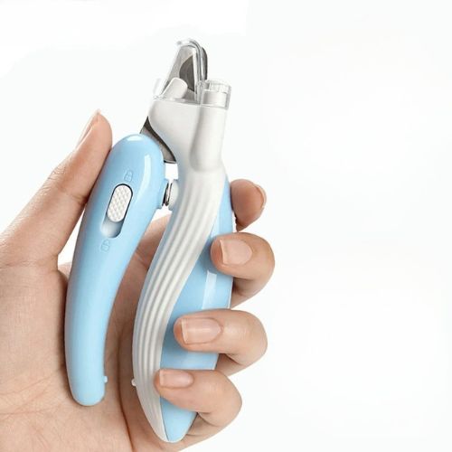 Coupe ongle chat - Les bienfaits sur votre intérieur