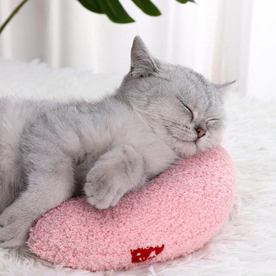 Coussin chat - Oreiller