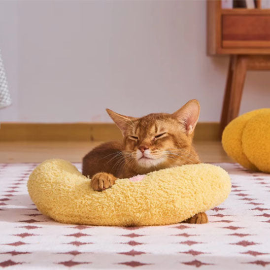 Coussin chat - Oreiller