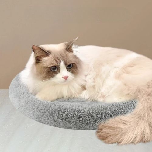 Coussin chat - Un havre de paix