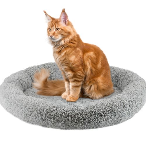 Coussin chat - Fini les poils partout dans votre maison