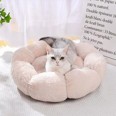 Coussin chat - La sécurité émotionnelle que votre félin recherche