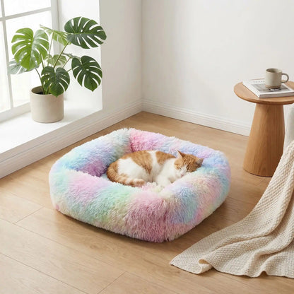 Coussin chats - Caractéristiques