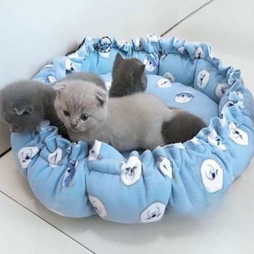 Coussin pour chat - Anti stress