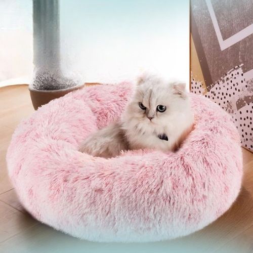 Coussin pour chat - Design