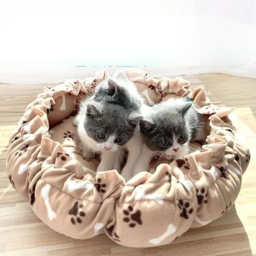 Coussin pour chat - Polyvalence