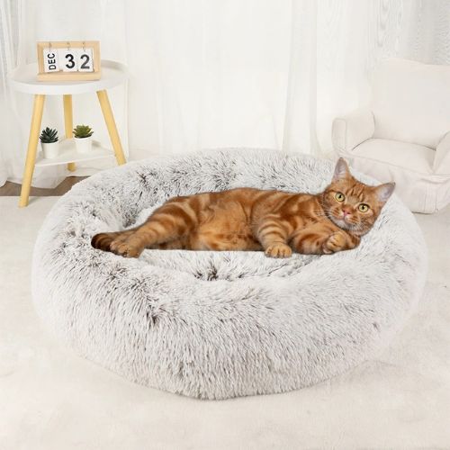 Coussin pour chat  Fini les poils partout dans votre maison