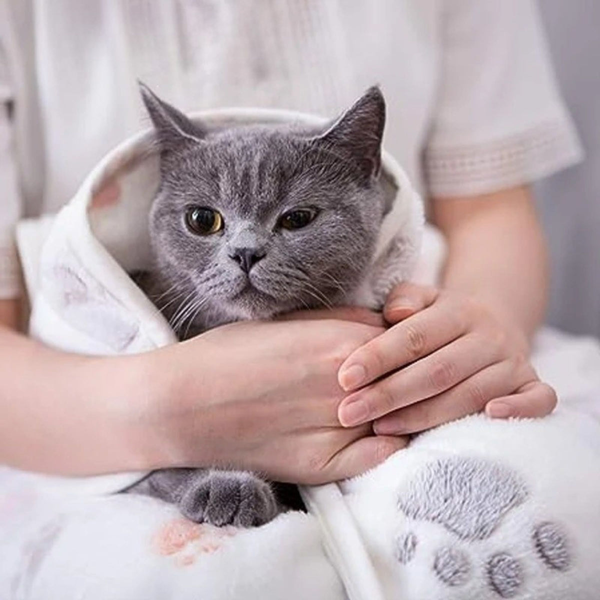 Couverture chauffante chaton - Couverture douce et chaude