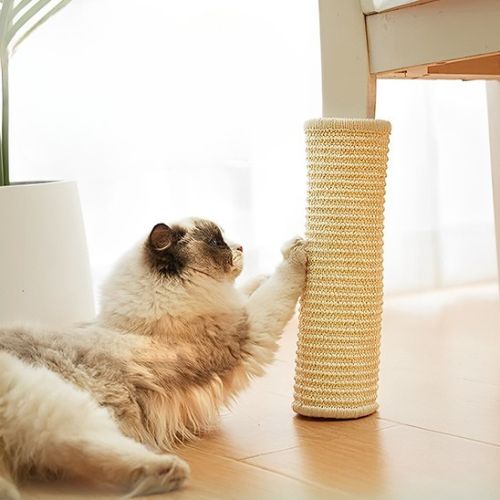 Grattoir chat - POLYMERACHAT™