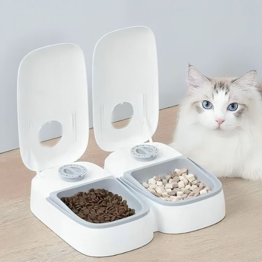 Distributeur automatique de croquettes pour chat - Gris