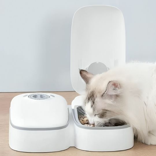 Distributeur automatique de croquettes pour chat - Une alimentation régulière pour un chat épanoui