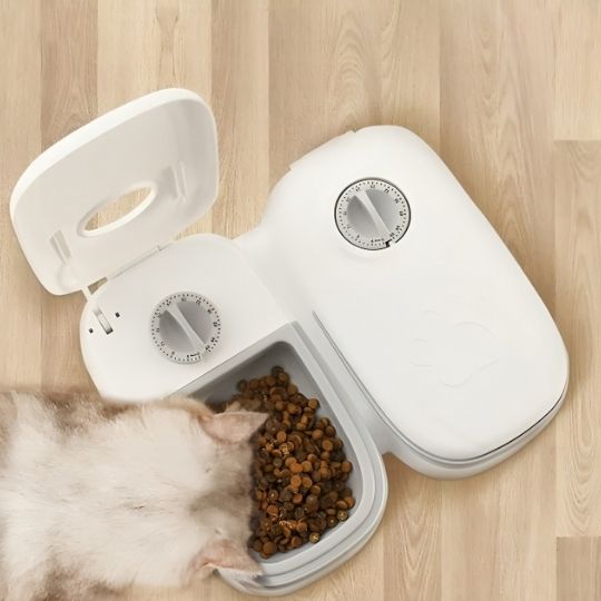 Distributeur automatique de croquettes pour chat - Une relation plus sereine avec votre félin