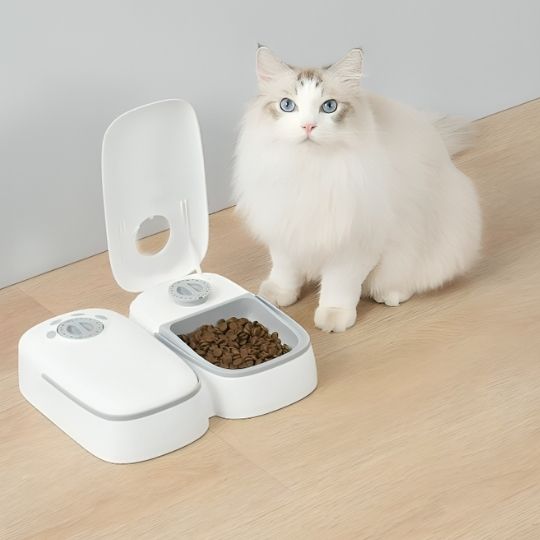 Distributeur automatique de croquettes pour chat : Alimentation contrôlée et tranquillité d'esprit