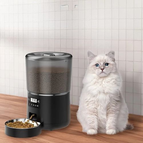 Distributeur de croquettes pour chat - L'allié nutrition de votre félin
