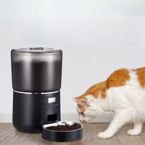 Distributeur de croquettes pour chat - Liberté pour vous, sécurité pour votre félin