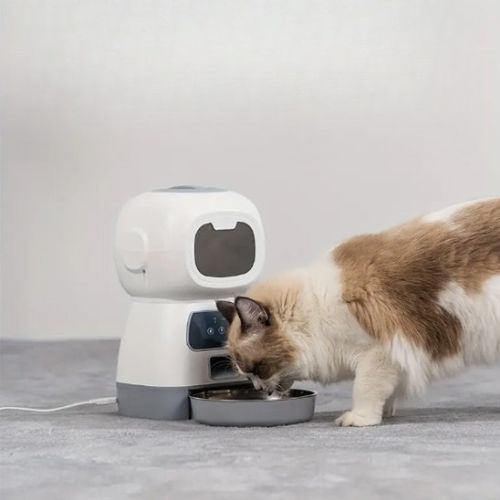 Distributeur de croquettes pour chat - Un véritable allié pour vous et votre félin