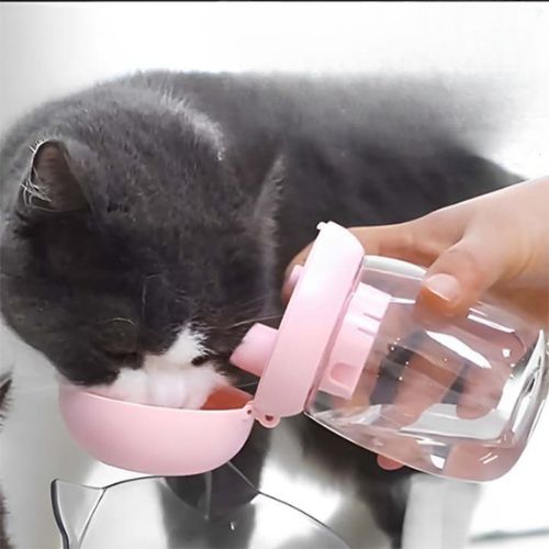 Distributeur eau chat - La solution d'hydratation idéale en déplacement 