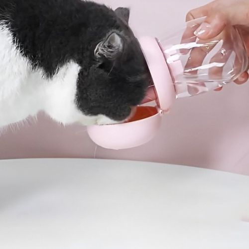 Distributeur eau chat - Un distributeur eau chat compact et pratique pour vos déplacements