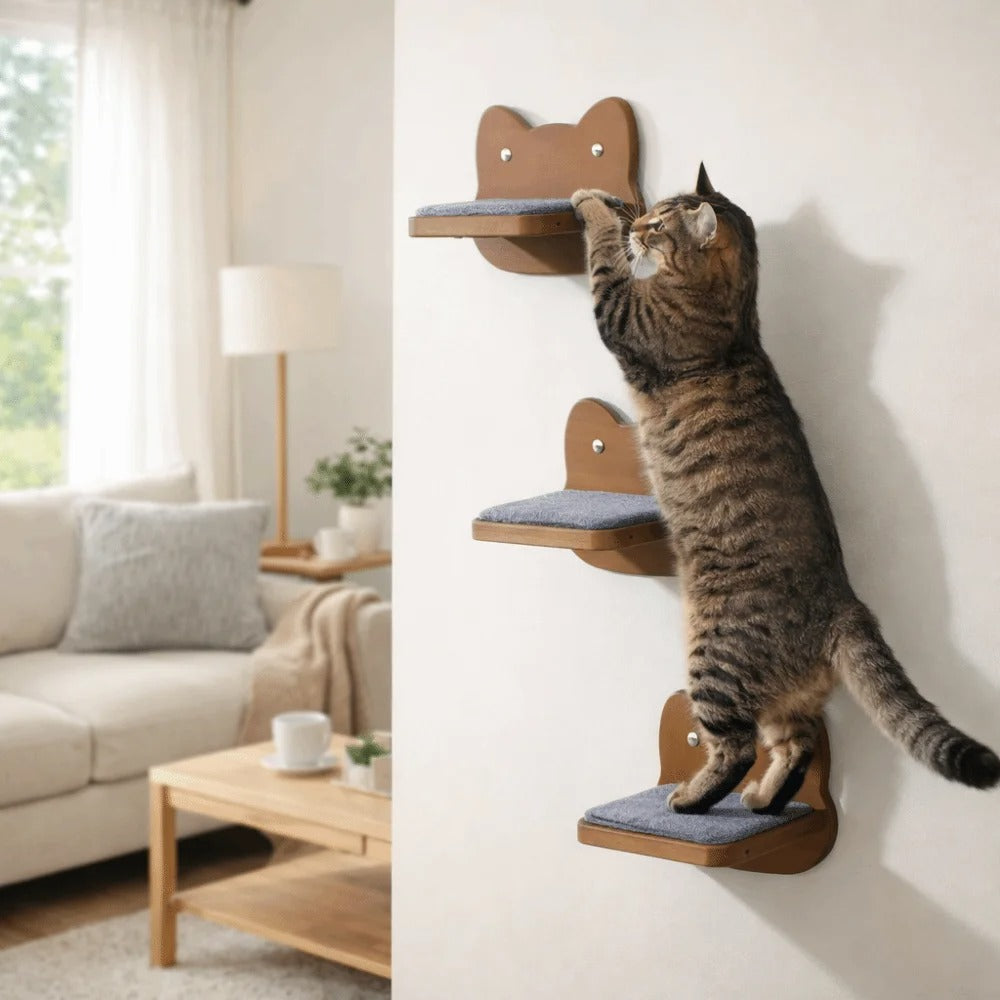 Escalier pour chat - Robuste et durable