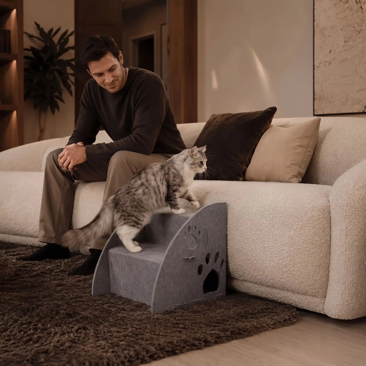 Escalier pour chat - Accès facile au canapé ou au lit