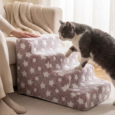 Escalier pour chat - Fini les griffes sur les meubles et les sauts périlleux qui inquiètent