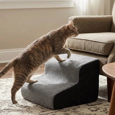 Escalier pour chat - Fini les sauts brusques qui le font grimacer