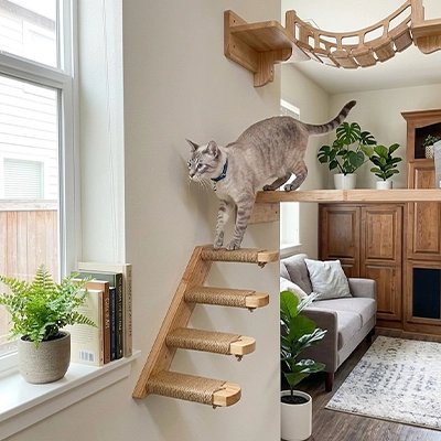 Escalier pour chat - L'escalier pour chat transforme votre relation