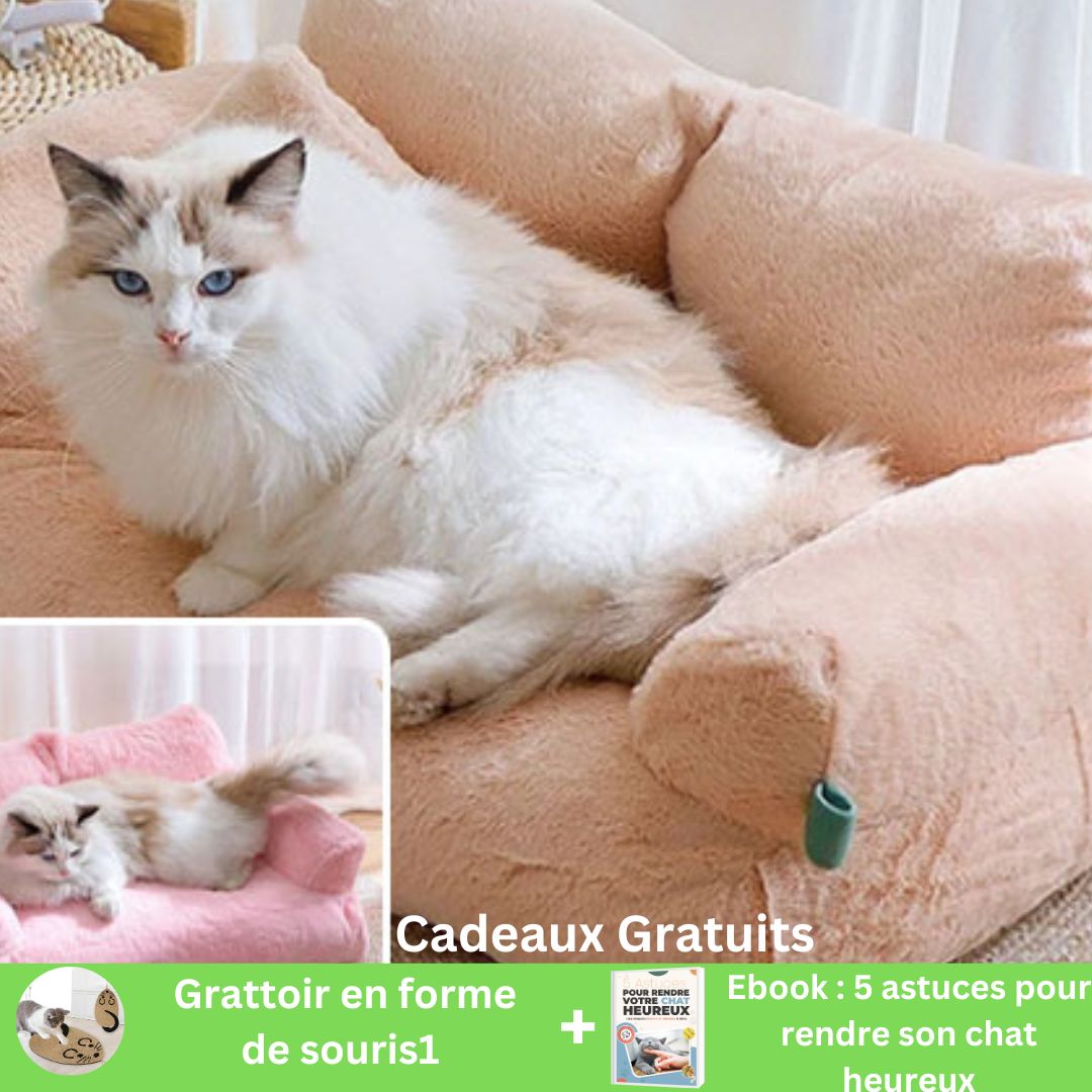 Final IMAGE PRODUIT AVEC OFFRE MARKETING 