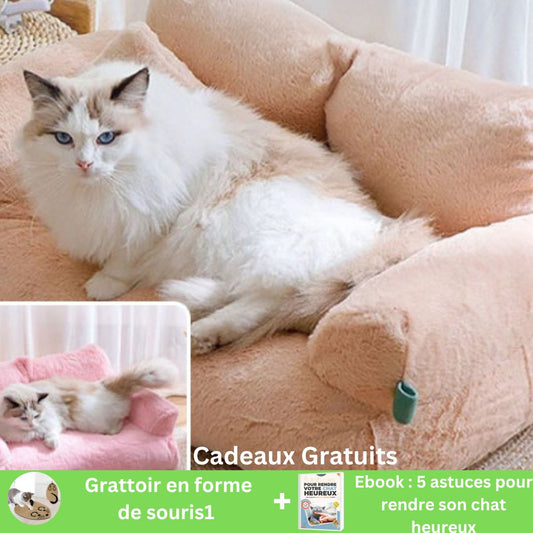 Final IMAGE PRODUIT AVEC OFFRE MARKETING 