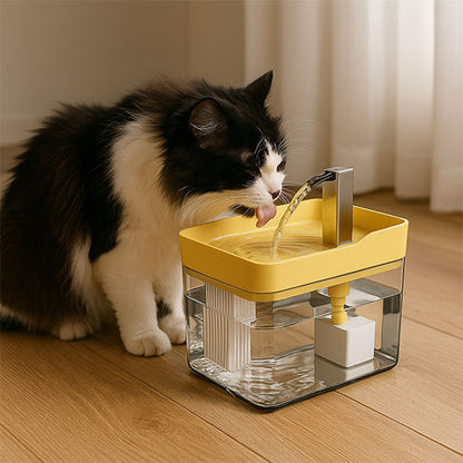 Fontaine a eau chat - Un confort quotidien pour vous deux