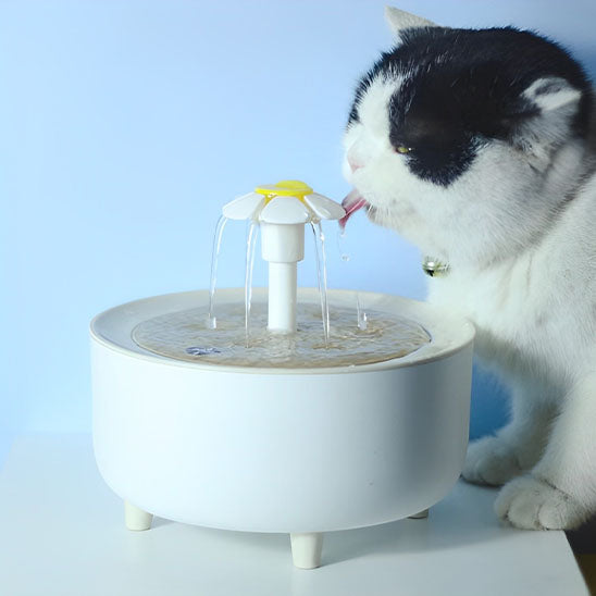 Fontaine a eau chat - Blanc