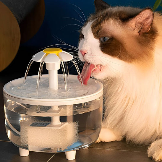 Fontaine a eau chat - Transparent givré