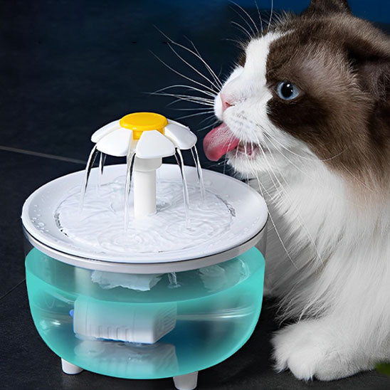 Fontaine a eau chat - Vert