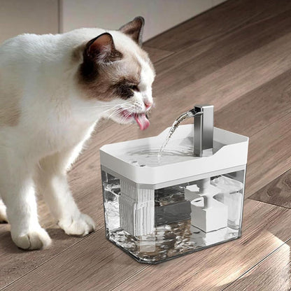 Fontaine a eau chat  L'hydratation idéale pour votre félin
