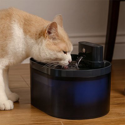 Fontaine a eau pour chat - Le changement commence dès le premier jour