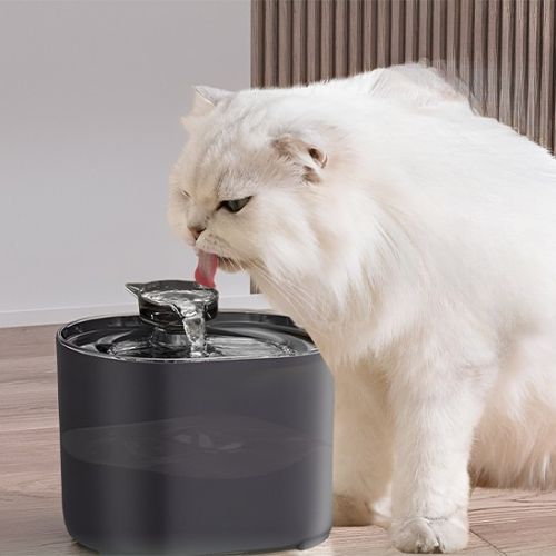 Fontaine à eau chat - Meilleure qualité de vie pour votre félin et pour vous