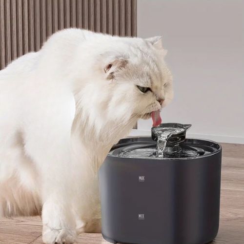 Fontaine à eau chat - Un confort inégalé pour votre félin et pour vous