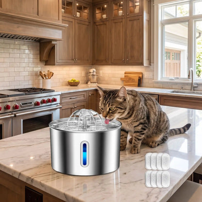 Fontaine à eau pour chat - Avec 8 puces