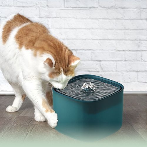 Fontaine à eau pour chat - Fini le stress des bols renversés et des remplissages fréquents