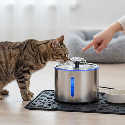 Fontaine à eau pour chat - Plus de gamelles renversées