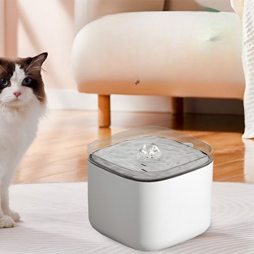 Fontaine à eau pour chat - Un investissement pour le bien-être félin