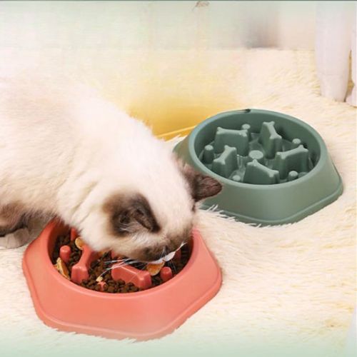 Gamelle anti glouton chat - Fini le nettoyage après chaque repas