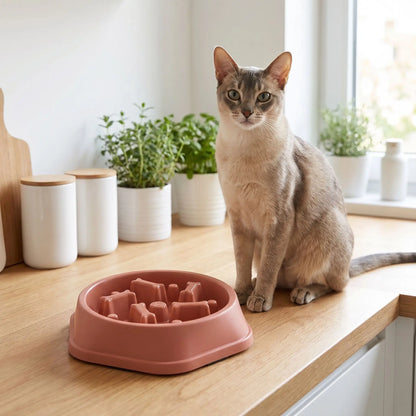 Gamelle anti glouton chat - Rouge