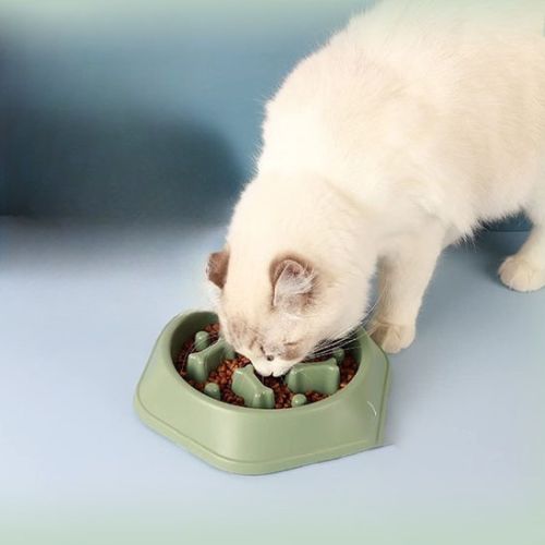 Gamelle anti glouton chat - Vert