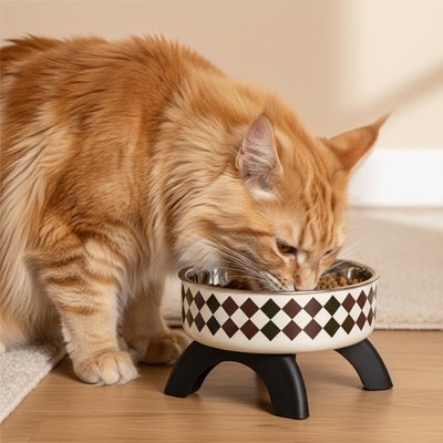 Gamelle chat surélevée - Juste une position naturelle et détendue