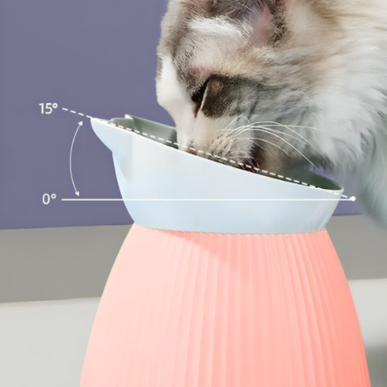 Gamelle chat surélevée - les bienfaits de la gamelle chat surélevée pour votre félin
