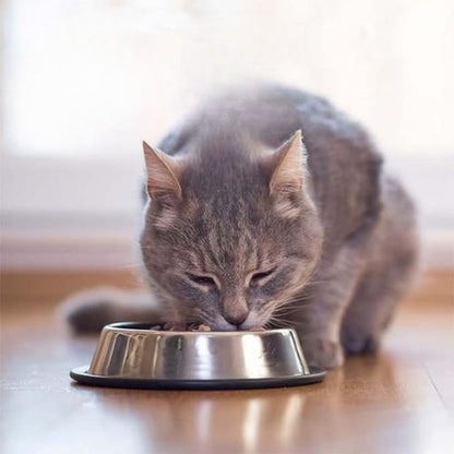 Gamelle pour chat  - Gamelle anti-gaspillage