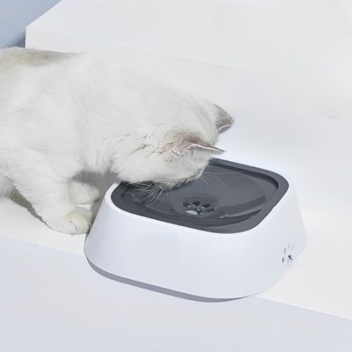 Gamelle pour chat - Caractéristiques