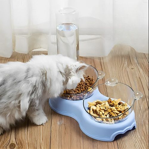 Gamelle pour chat - Choisir la gamelle idéale selon les besoins de votre félin